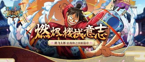 国风路飞爆料视频,穿越时空的爆料视频大揭秘  第1张