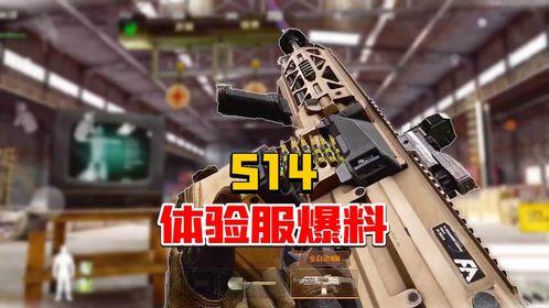 突围体验服最新爆料,揭秘神秘技能与战术革新  第1张