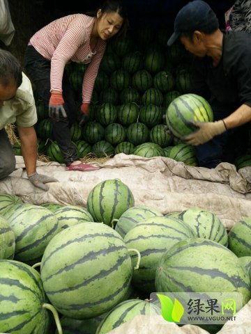 吃瓜最新事件网红久久,真相究竟如何? 第1张 吃瓜最新事件网红久久,真相究竟如何? 第1张